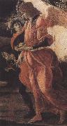 Sandro Botticelli Trinity with Mary Magdalene,St john the Baptist,Tobias  and the Angel (mk36) painting